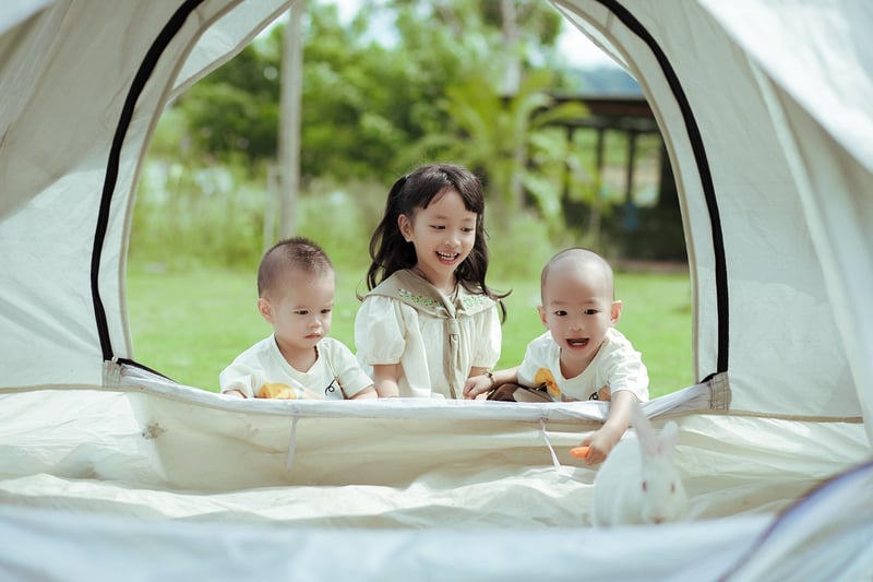 Backpacking Tent